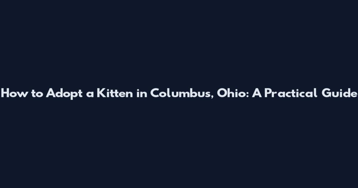 How to Adopt a Kitten in Columbus, Ohio: A Practical Guide
