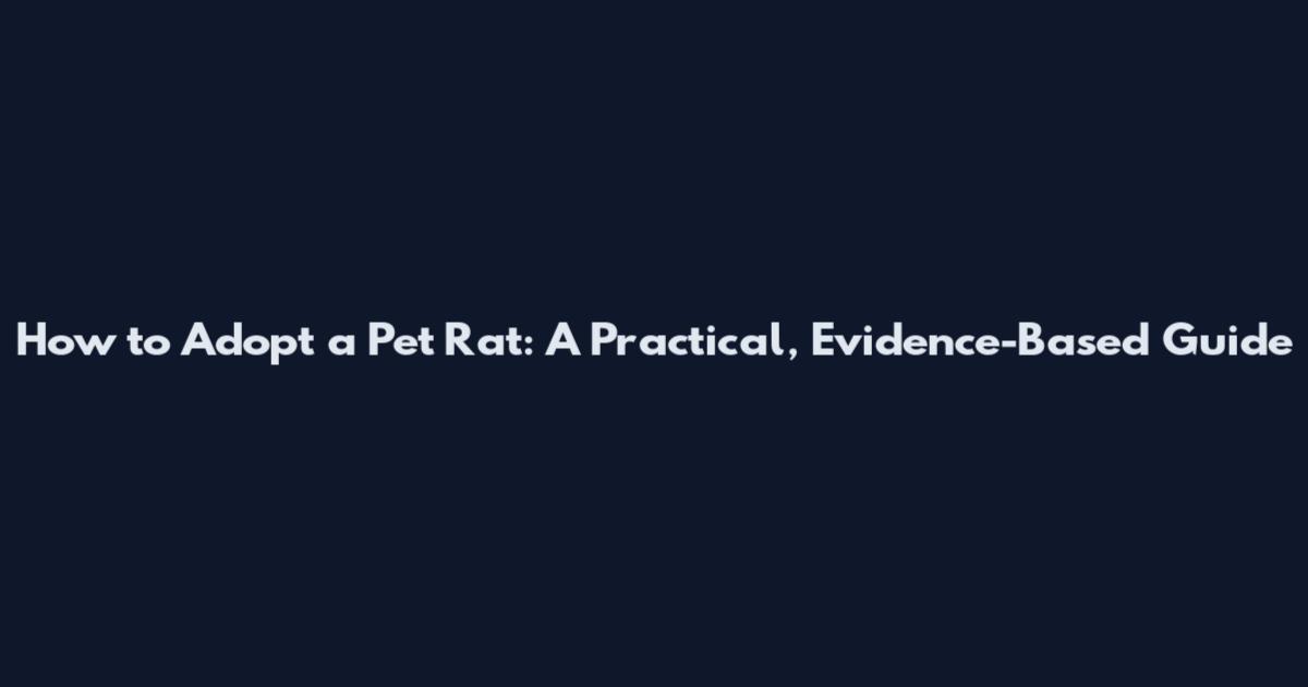 How to Adopt a Pet Rat: A Practical, Evidence-Based Guide