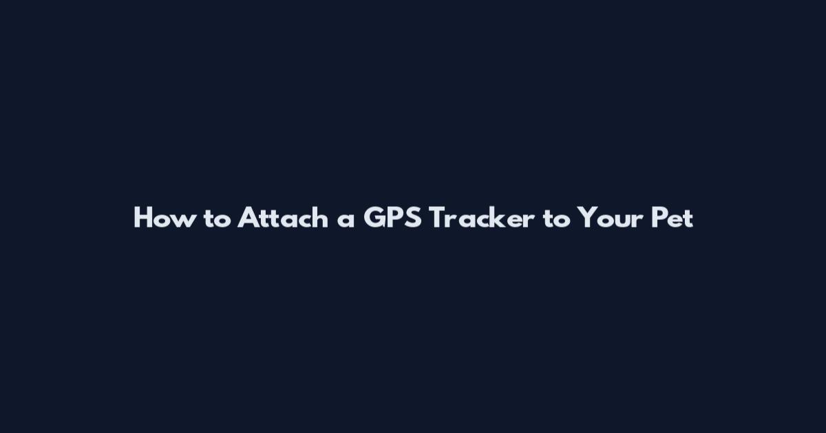 How to Attach a GPS Tracker to Your Pet
