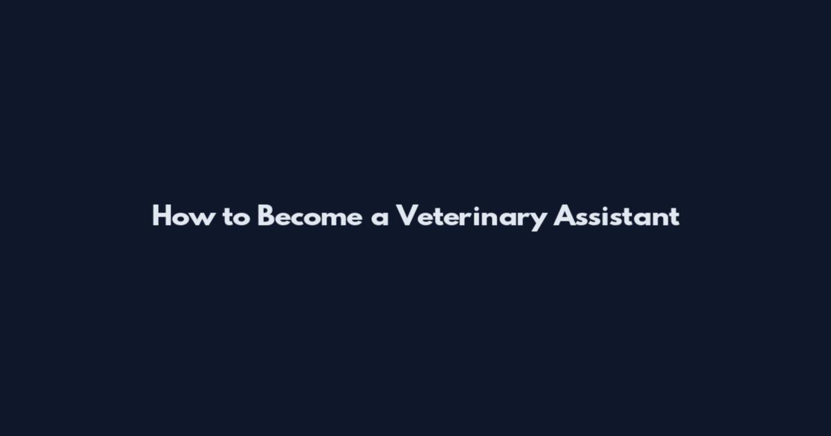 How to Become a Veterinary Assistant