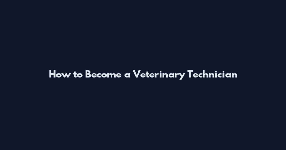 How to Become a Veterinary Technician