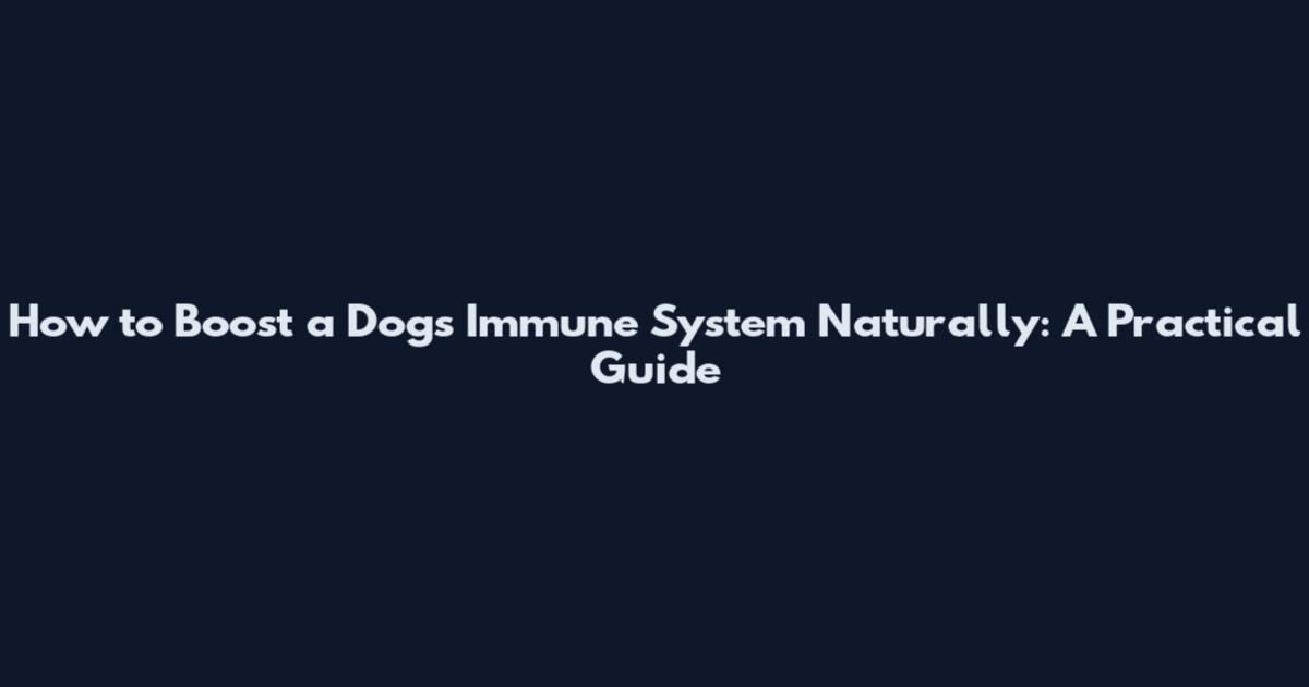 How to Boost a Dog's Immune System Naturally: A Practical Guide