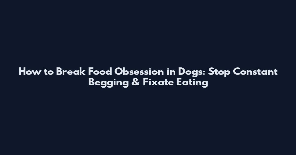 How to Break Food Obsession in Dogs: Stop Constant Begging & Fixate Eating