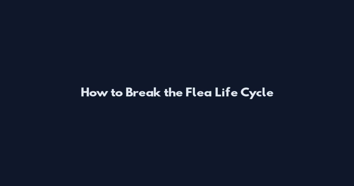 How to Break the Flea Life Cycle