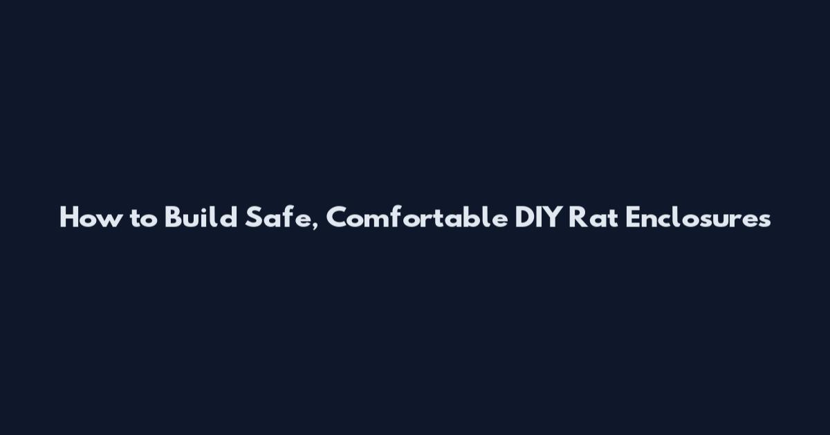 How to Build Safe, Comfortable DIY Rat Enclosures