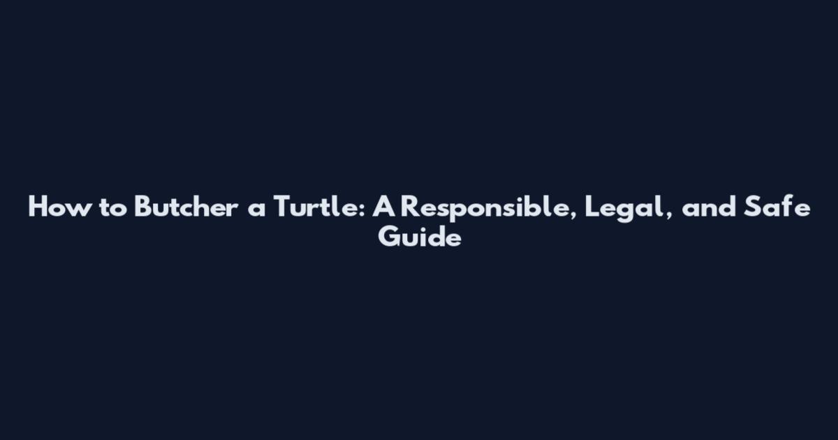How to Butcher a Turtle: A Responsible, Legal, and Safe Guide