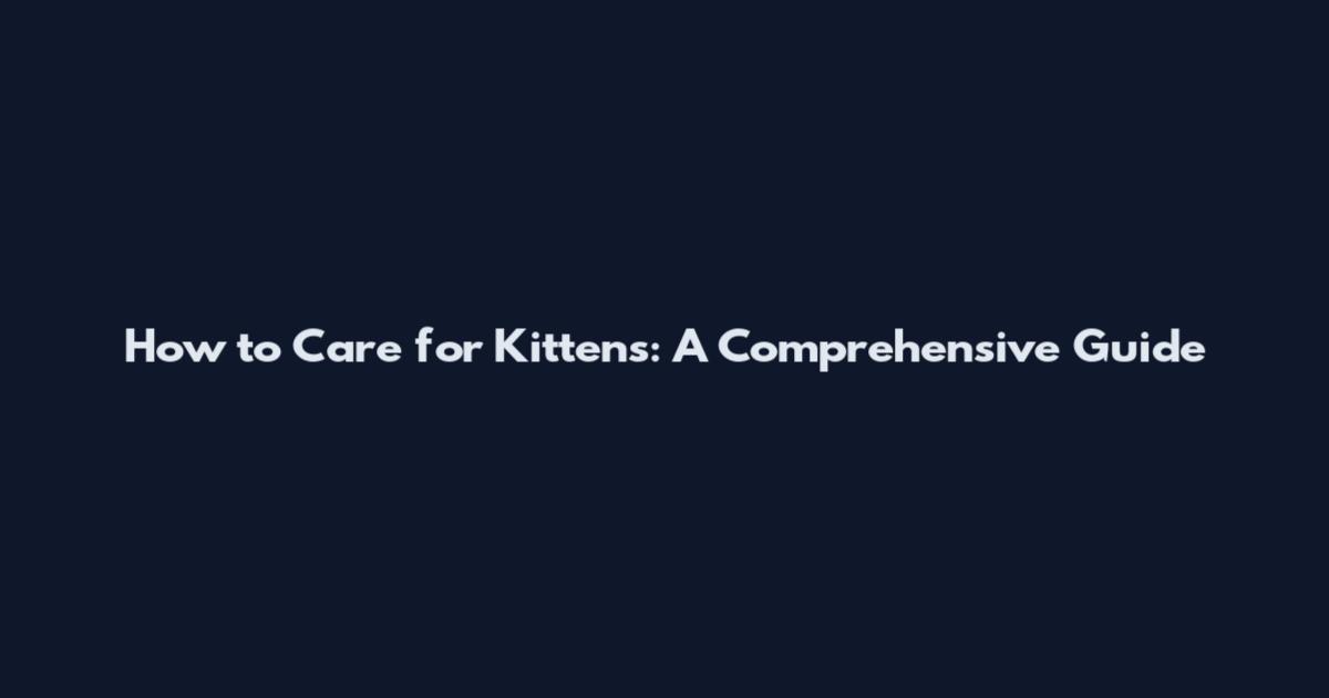 How to Care for Kittens: A Comprehensive Guide