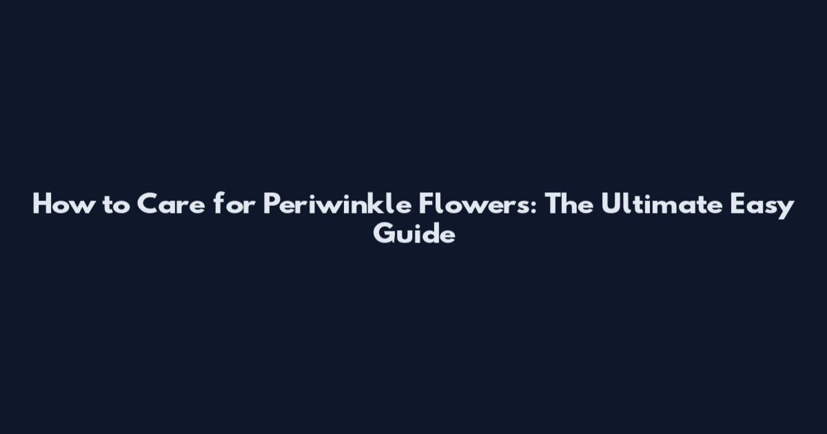How to Care for Periwinkle Flowers: The Ultimate Easy Guide