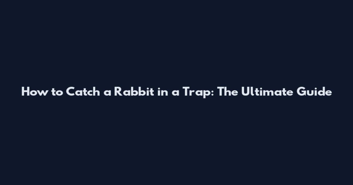 How to Catch a Rabbit in a Trap: The Ultimate Guide