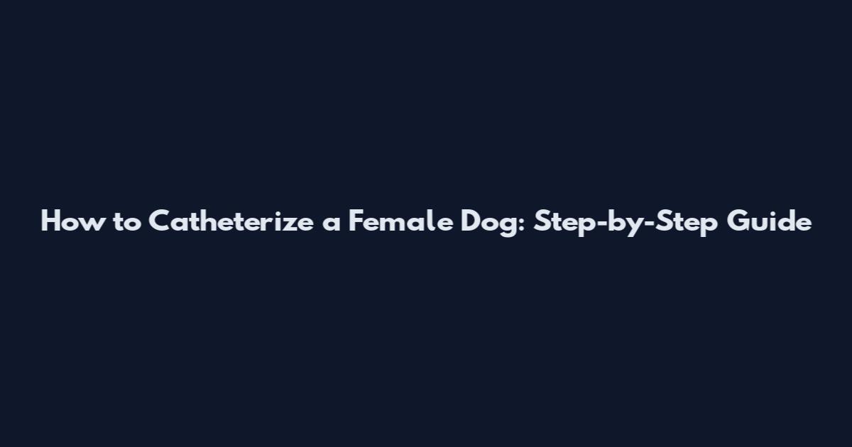 How to Catheterize a Female Dog: Step-by-Step Guide