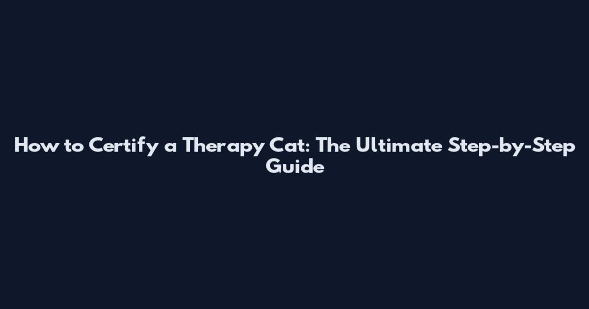 How to Certify a Therapy Cat: The Ultimate Step-by-Step Guide