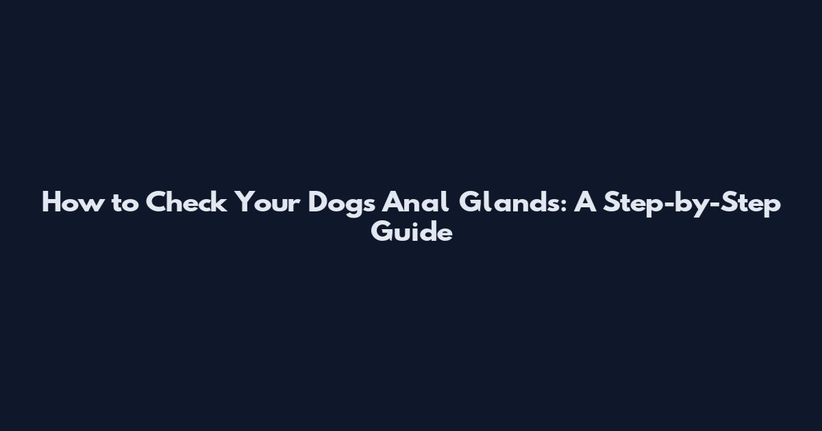 How to Check Your Dog's Anal Glands: A Step-by-Step Guide