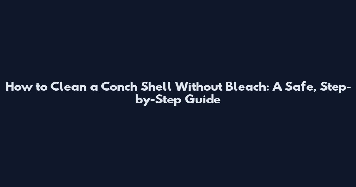 How to Clean a Conch Shell Without Bleach: A Safe, Step-by-Step Guide