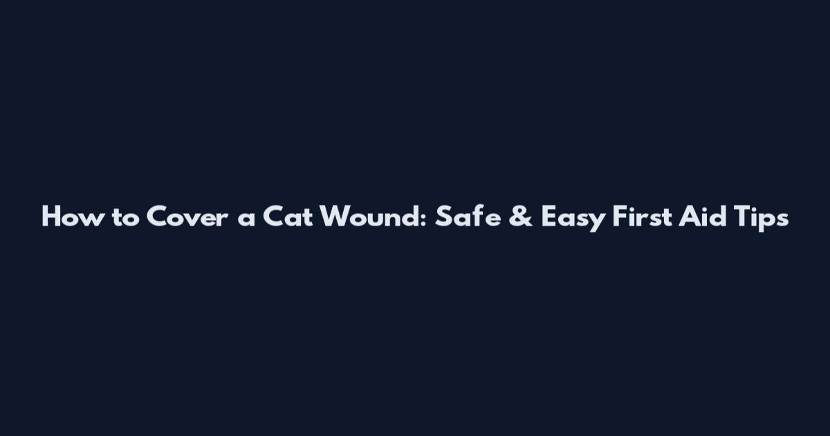 How to Cover a Cat Wound: Safe & Easy First Aid Tips