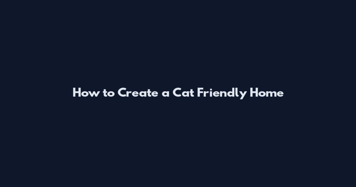 How to Create a Cat Friendly Home