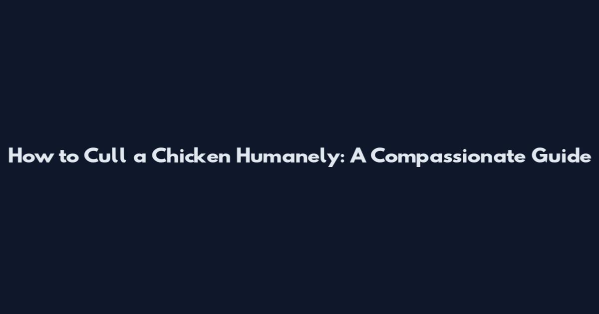 How to Cull a Chicken Humanely: A Compassionate Guide