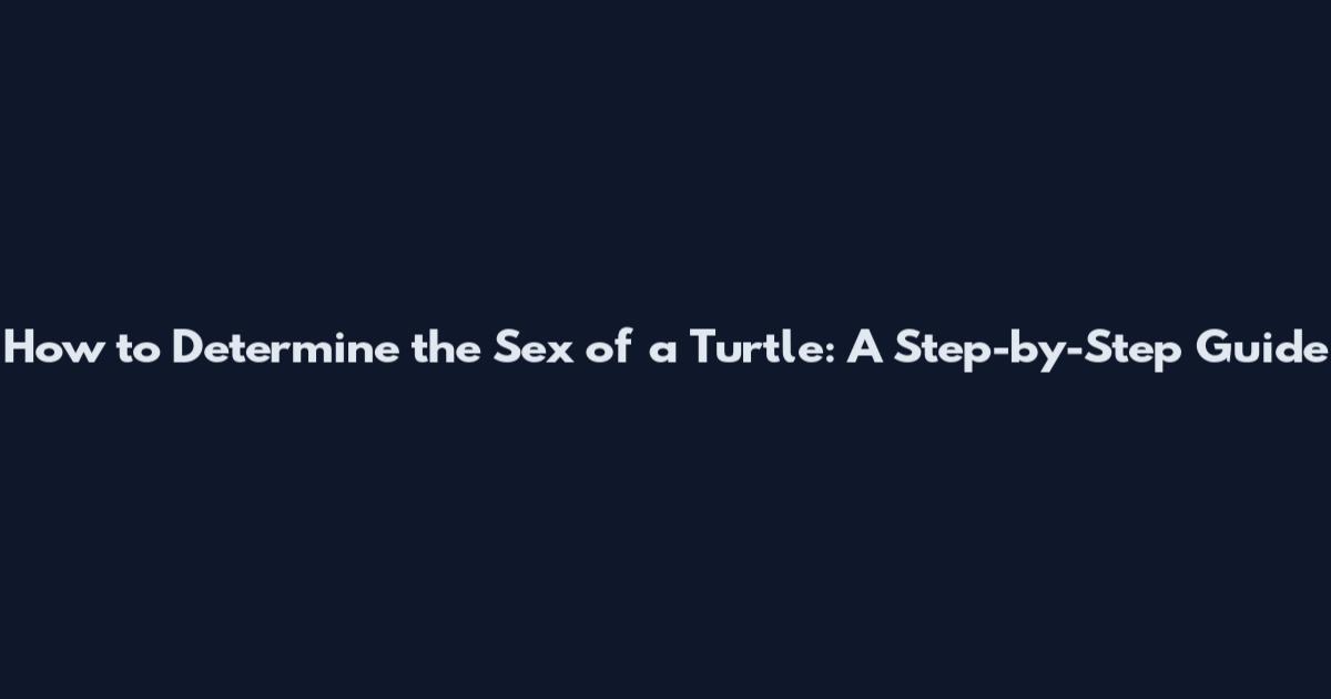 How to Determine the Sex of a Turtle: A Step-by-Step Guide