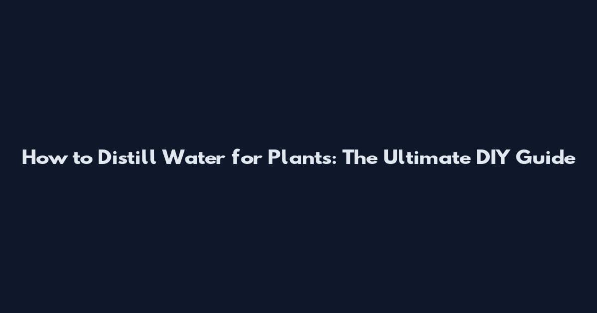 How to Distill Water for Plants: The Ultimate DIY Guide