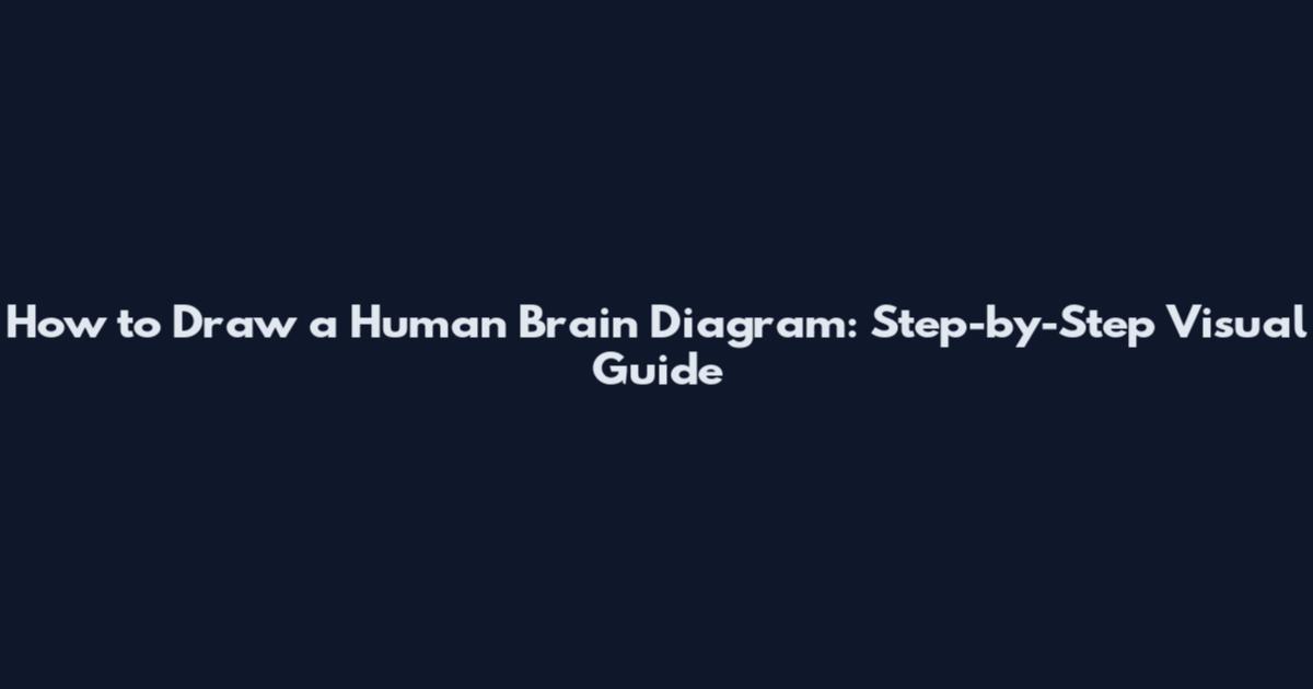 How to Draw a Human Brain Diagram: Step-by-Step Visual Guide