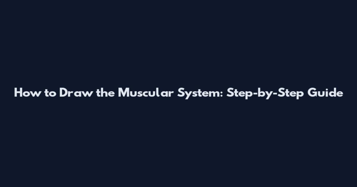 How to Draw the Muscular System: Step-by-Step Guide