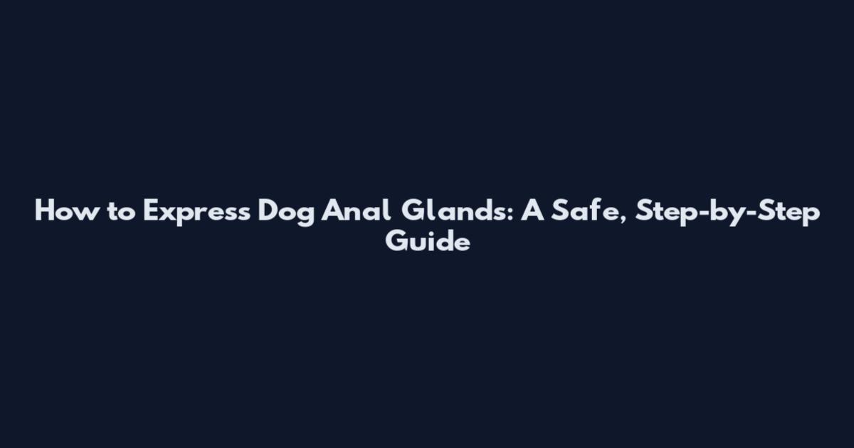 How to Express Dog Anal Glands: A Safe, Step-by-Step Guide