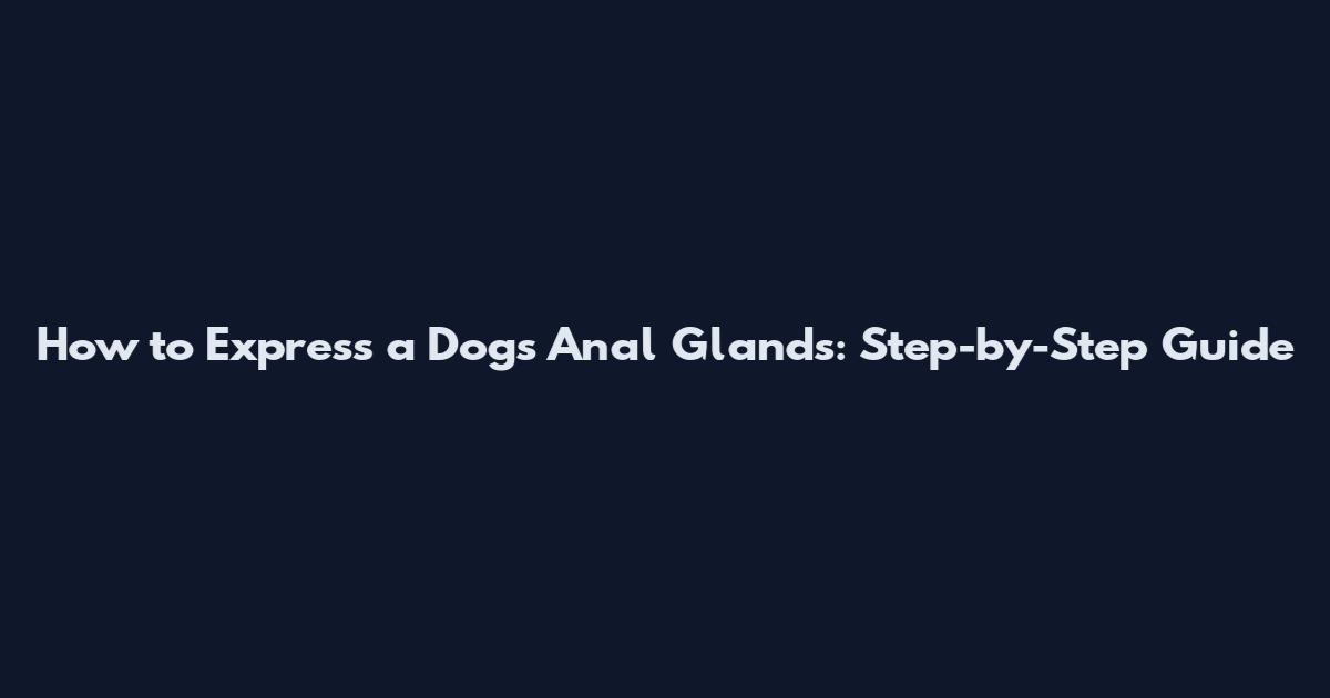 How to Express a Dog's Anal Glands: Step-by-Step Guide