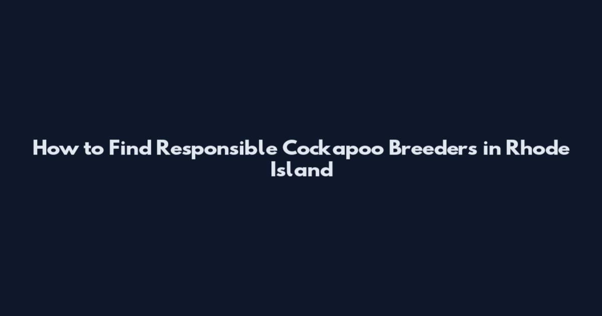 How to Find Responsible Cockapoo Breeders in Rhode Island