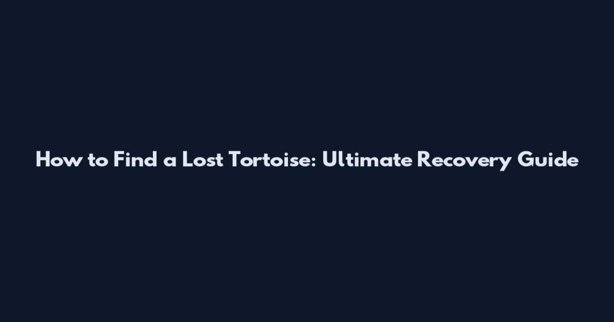 How to Find a Lost Tortoise: Ultimate Recovery Guide