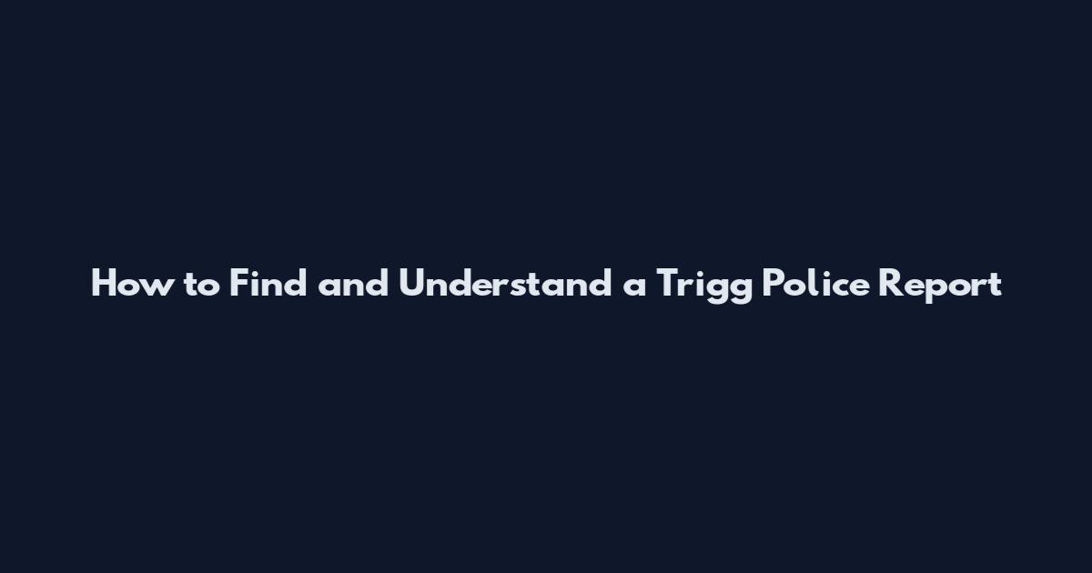 How to Find and Understand a Trigg Police Report