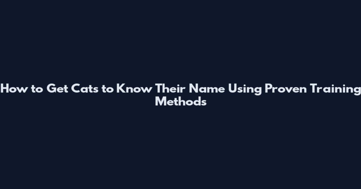 How to Get Cats to Know Their Name Using Proven Training Methods