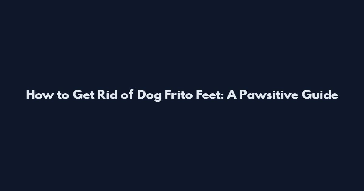 How to Get Rid of Dog Frito Feet: A Pawsitive Guide