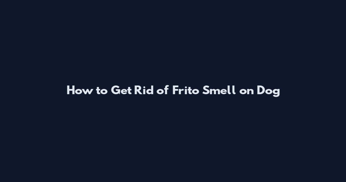 How to Get Rid of Frito Smell on Dog