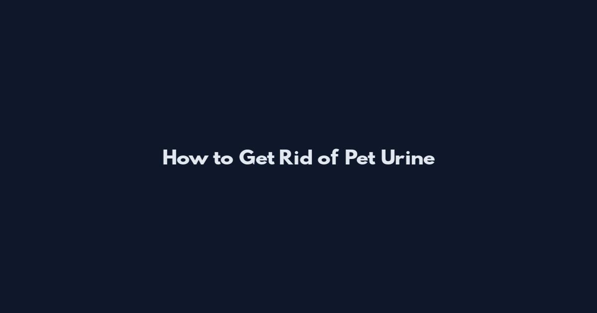 How to Get Rid of Pet Urine