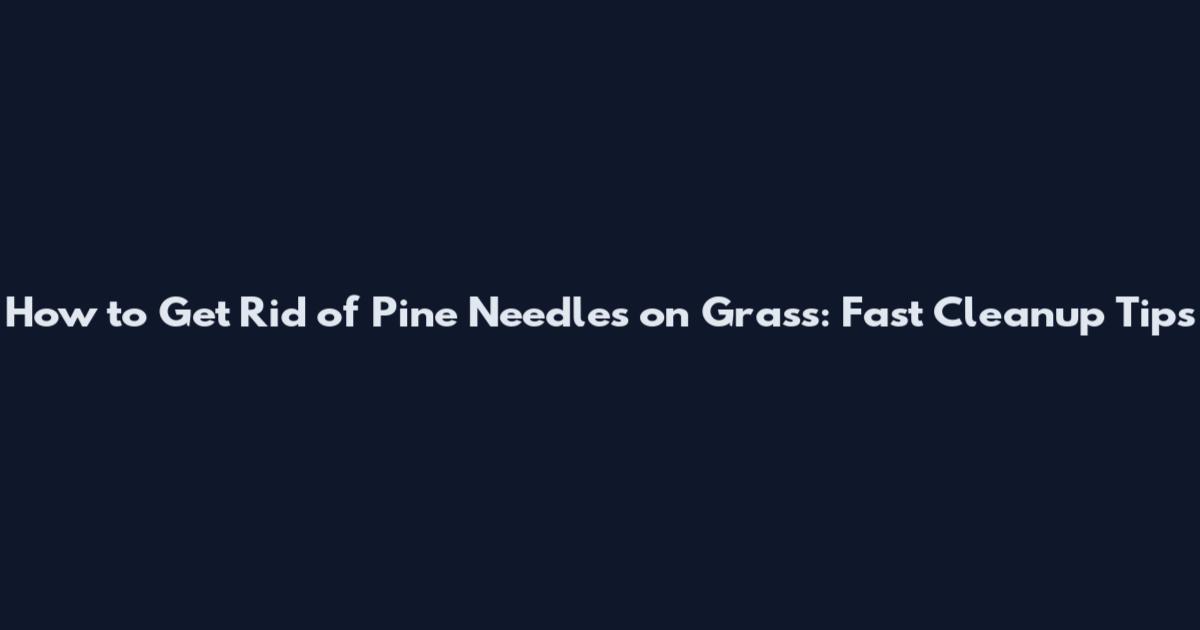 How to Get Rid of Pine Needles on Grass: Fast Cleanup Tips