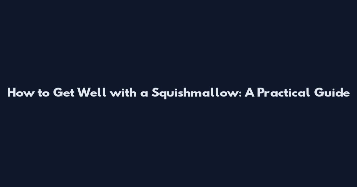 How to Get Well with a Squishmallow: A Practical Guide