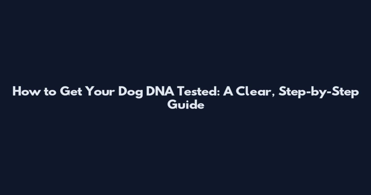 How to Get Your Dog DNA Tested: A Clear, Step-by-Step Guide