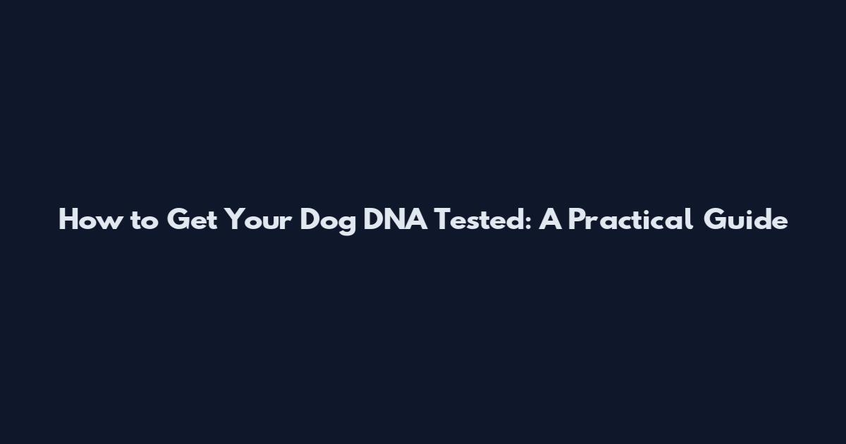 How to Get Your Dog DNA Tested: A Practical Guide