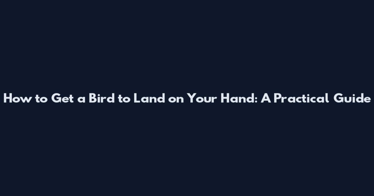 How to Get a Bird to Land on Your Hand: A Practical Guide