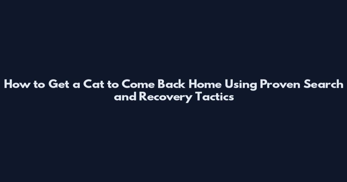 How to Get a Cat to Come Back Home Using Proven Search and Recovery Tactics