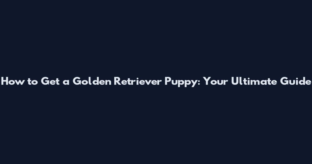 How to Get a Golden Retriever Puppy: Your Ultimate Guide