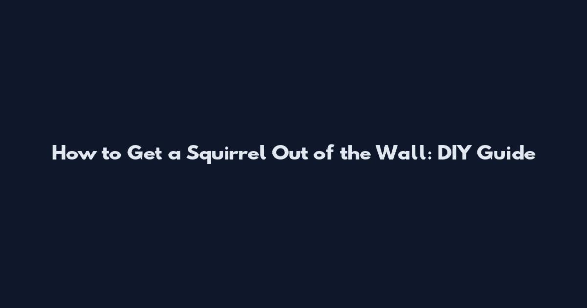 How to Get a Squirrel Out of the Wall: DIY Guide