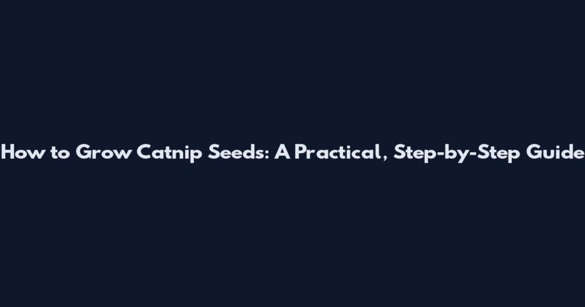 How to Grow Catnip Seeds: A Practical, Step-by-Step Guide