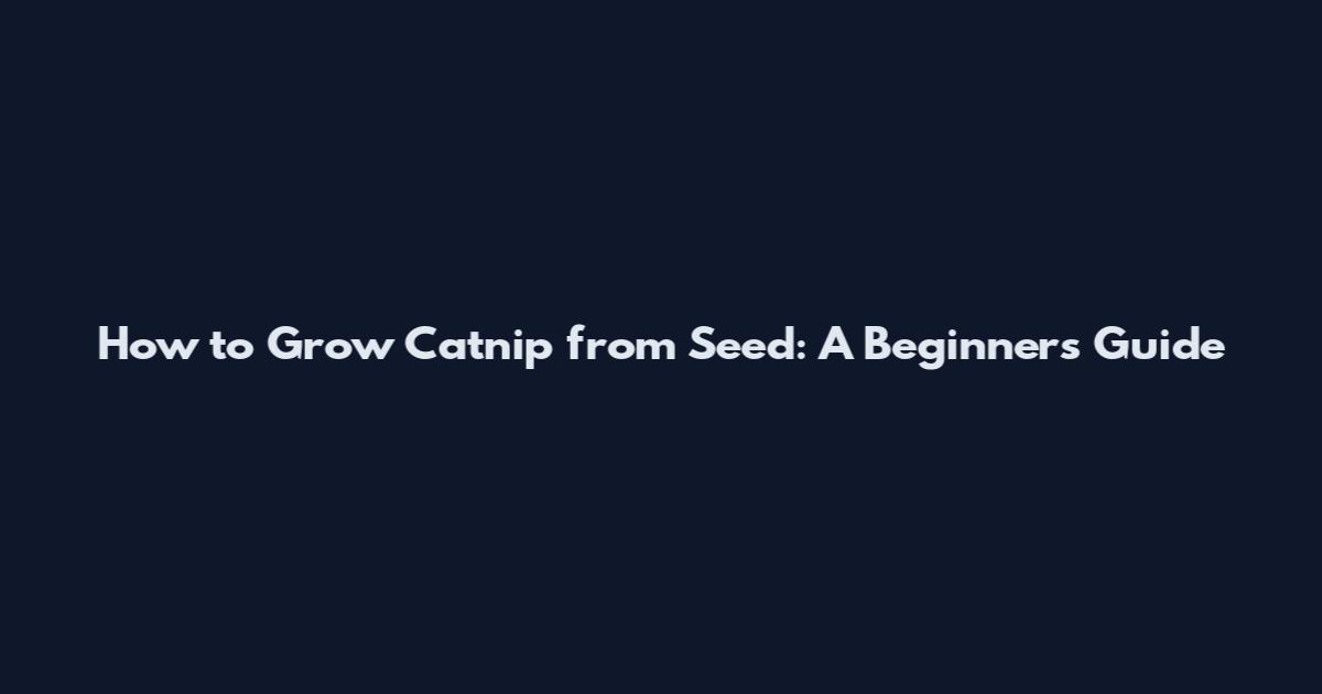 How to Grow Catnip from Seed: A Beginner's Guide