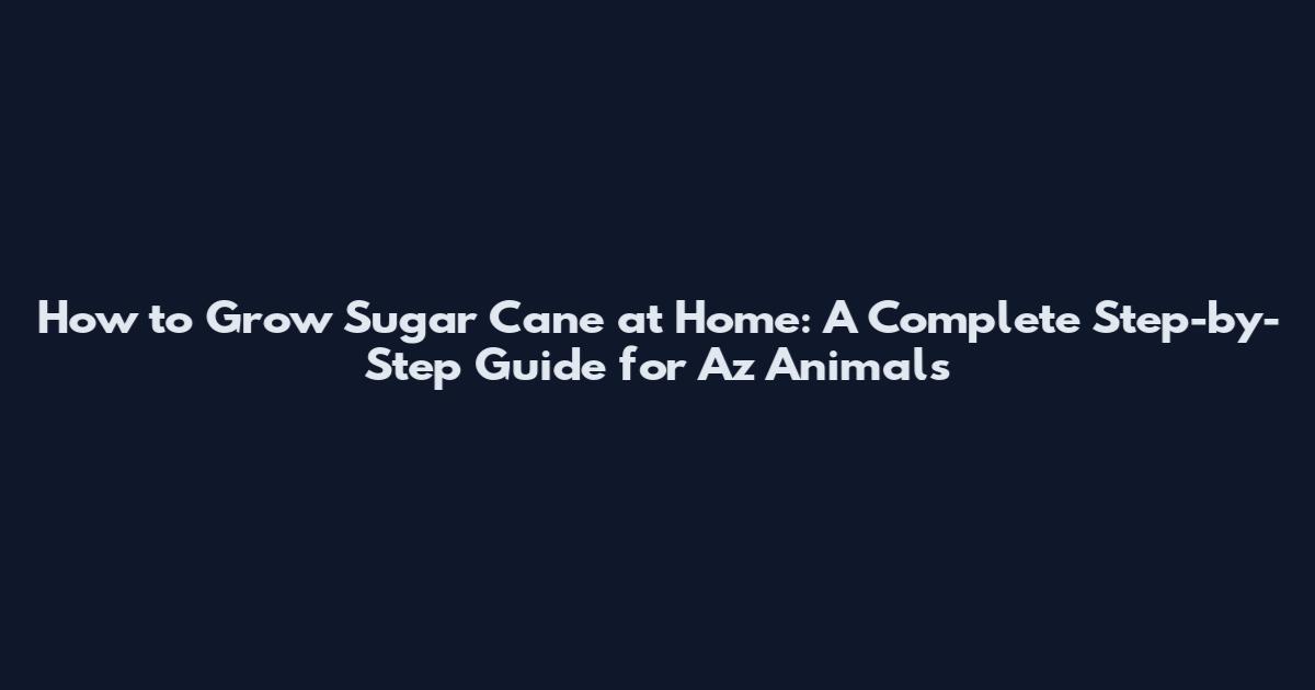 How to Grow Sugar Cane at Home: A Complete Step-by-Step Guide for Az Animals