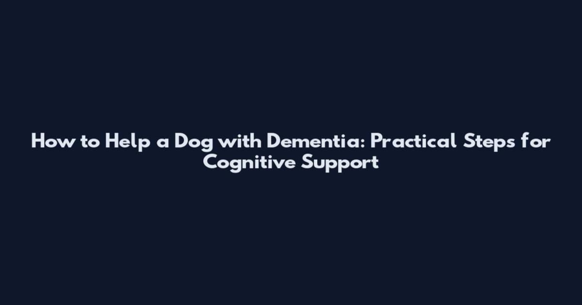How to Help a Dog with Dementia: Practical Steps for Cognitive Support