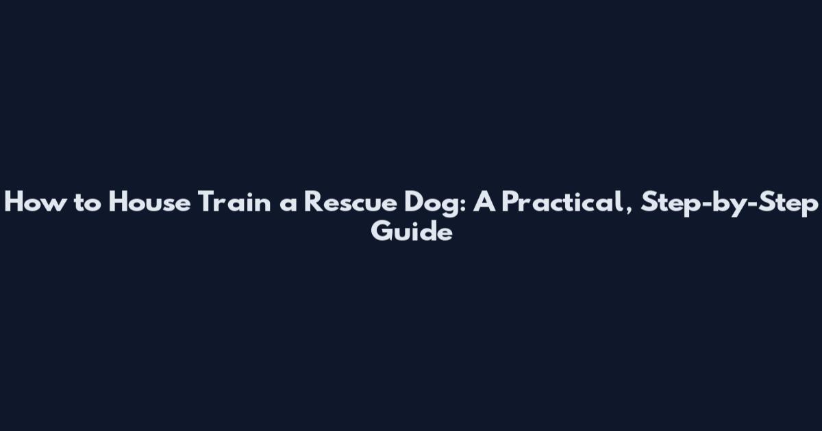 How to House Train a Rescue Dog: A Practical, Step-by-Step Guide
