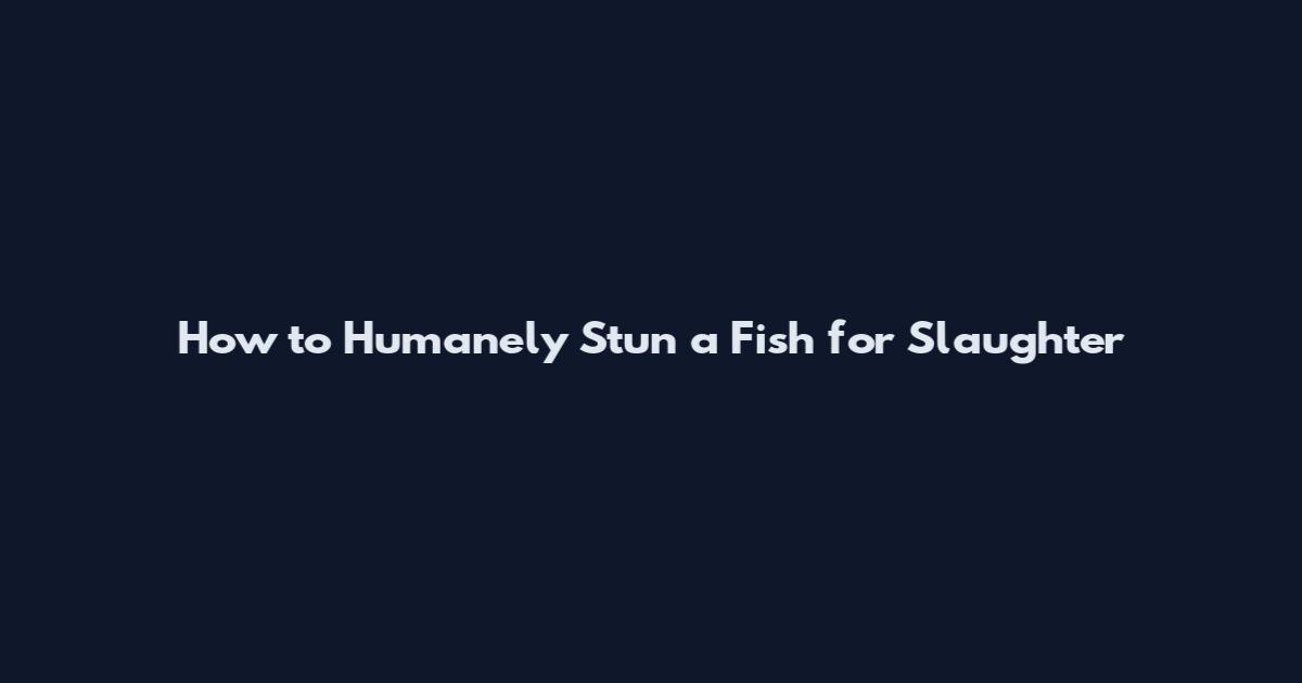 How to Humanely Stun a Fish for Slaughter