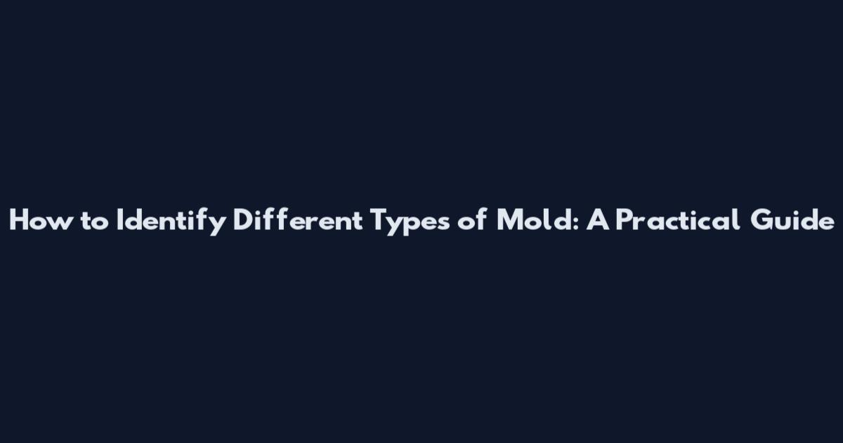 How to Identify Different Types of Mold: A Practical Guide