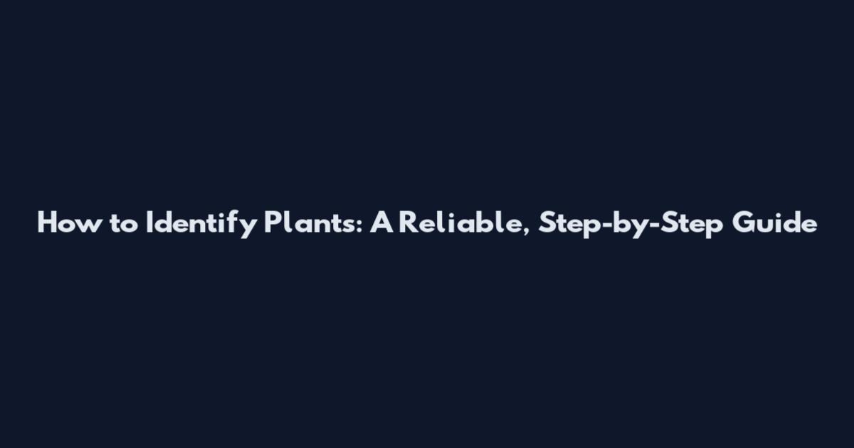 How to Identify Plants: A Reliable, Step-by-Step Guide