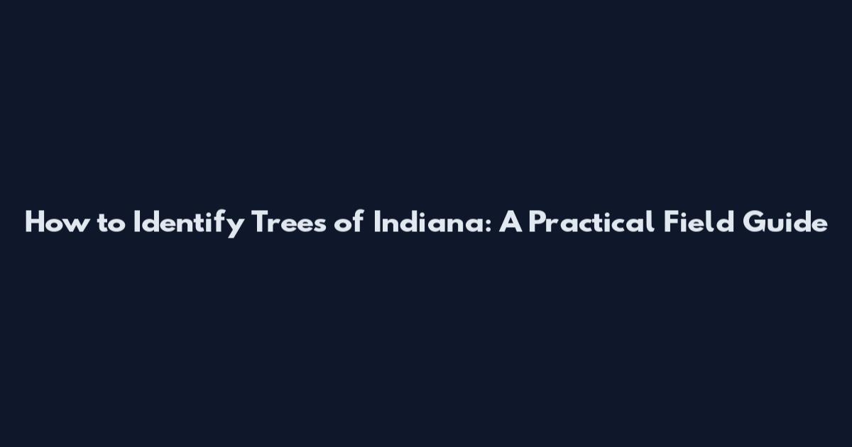 How to Identify Trees of Indiana: A Practical Field Guide